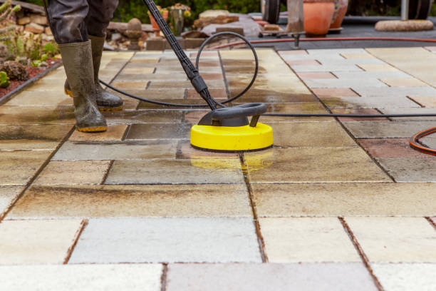Best Animal Enclosure Cleaning  in Waseca, MN