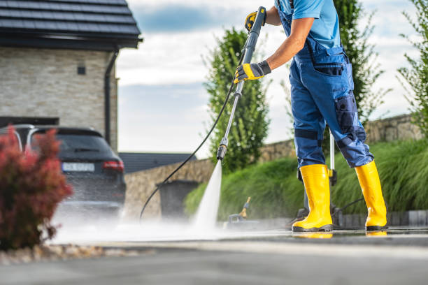 Best Fence Cleaning  in Waseca, MN